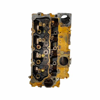 image_ad91b31b-89a5-4e8b-bd3e-07b2def82d22