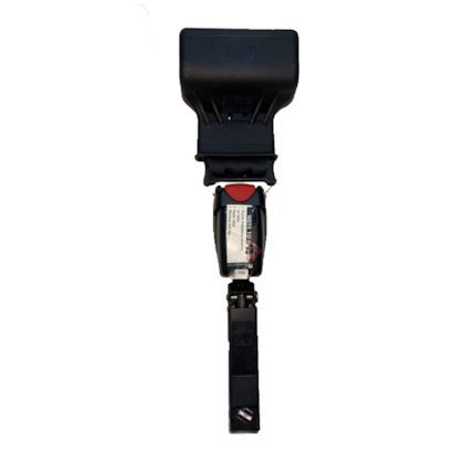 image_95aa952d-c587-4d16-b9b5-b01c3915b456