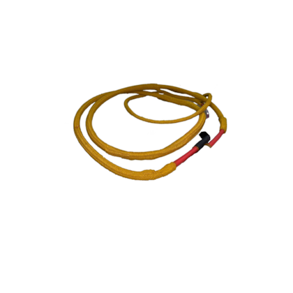 image_d0050077-d334-4e95-80d2-fbd2db0db011