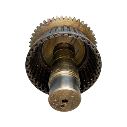 image_e83745d3-e78d-4916-bc5f-8d8361e3f42a