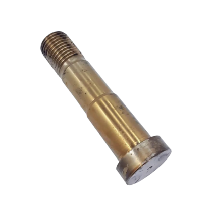 image_923d60bc-1cd3-419c-a4e3-ebd1800763e6