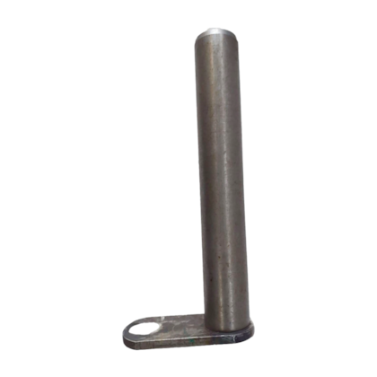 image_bcee7cff-dd3a-4503-9aaf-fcd7725529f1