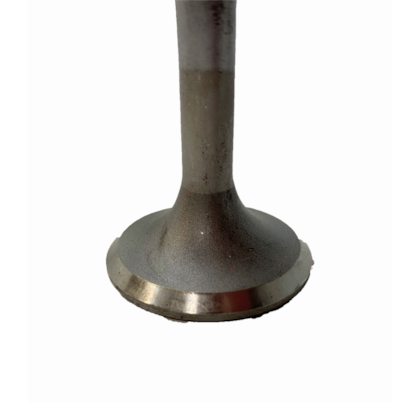 image_b8d1c331-a09d-4548-9a56-52bd4f7518d1