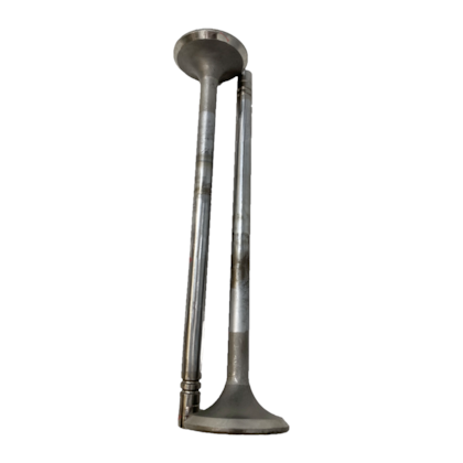 image_7ce32bd5-5ae2-4fad-80c9-a7ea0b805a0a